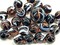 25 Glass Marbles ROCKET Brown/White Transparent Taw Mib Shooter